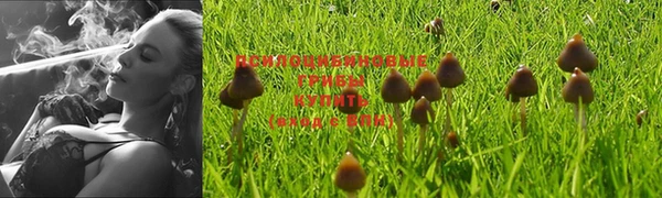 ALPHA-PVP Строитель